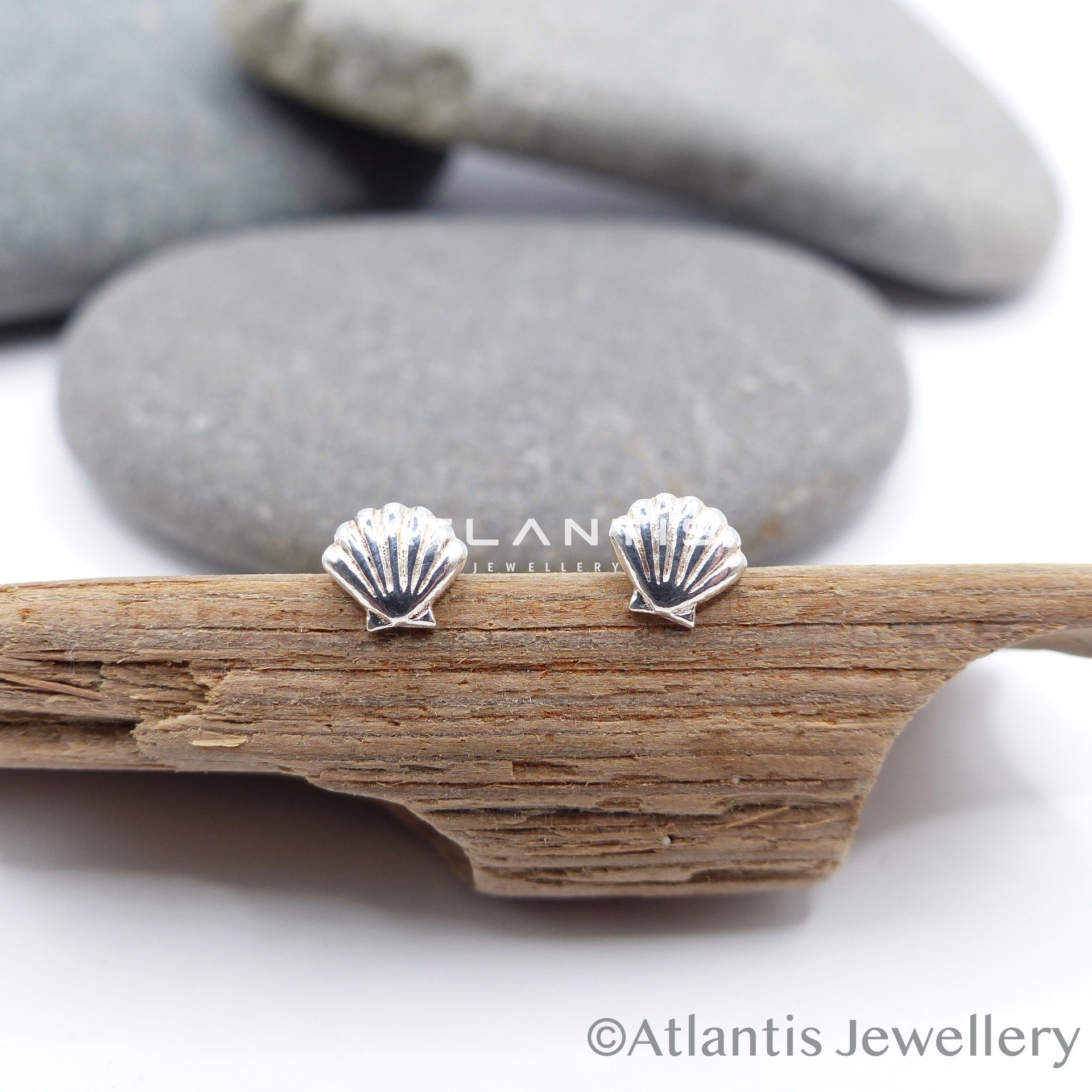 Shell Earrings in Sterling Silver with push back fastening.