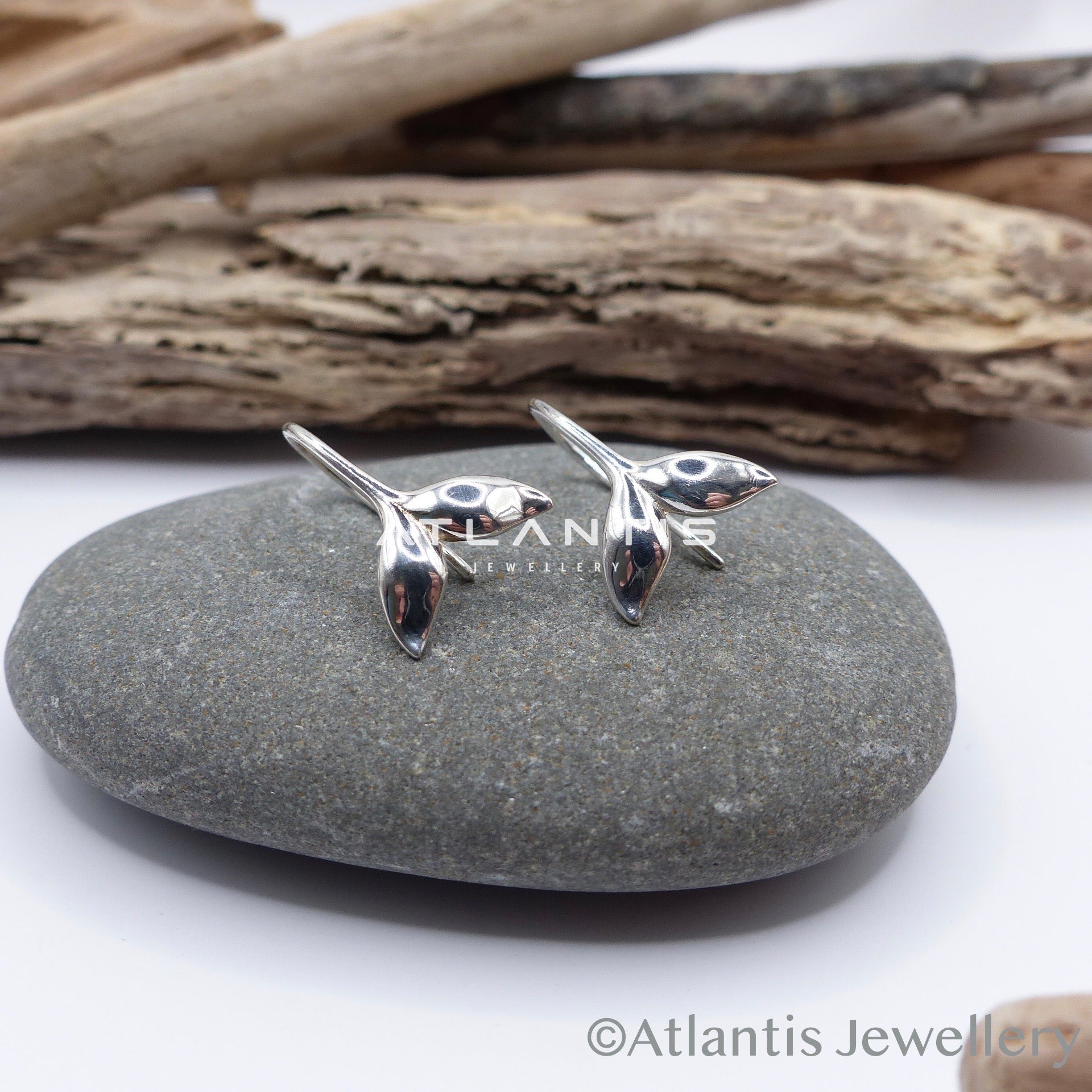 Whale Tail Sterling Silver Hook Earrings